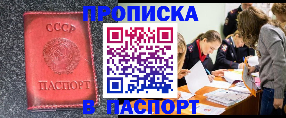 прописка для школы в Зеленоградске